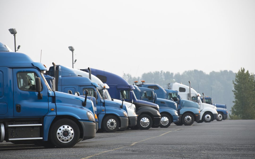 ATO arrears not an issue for fleet expansion