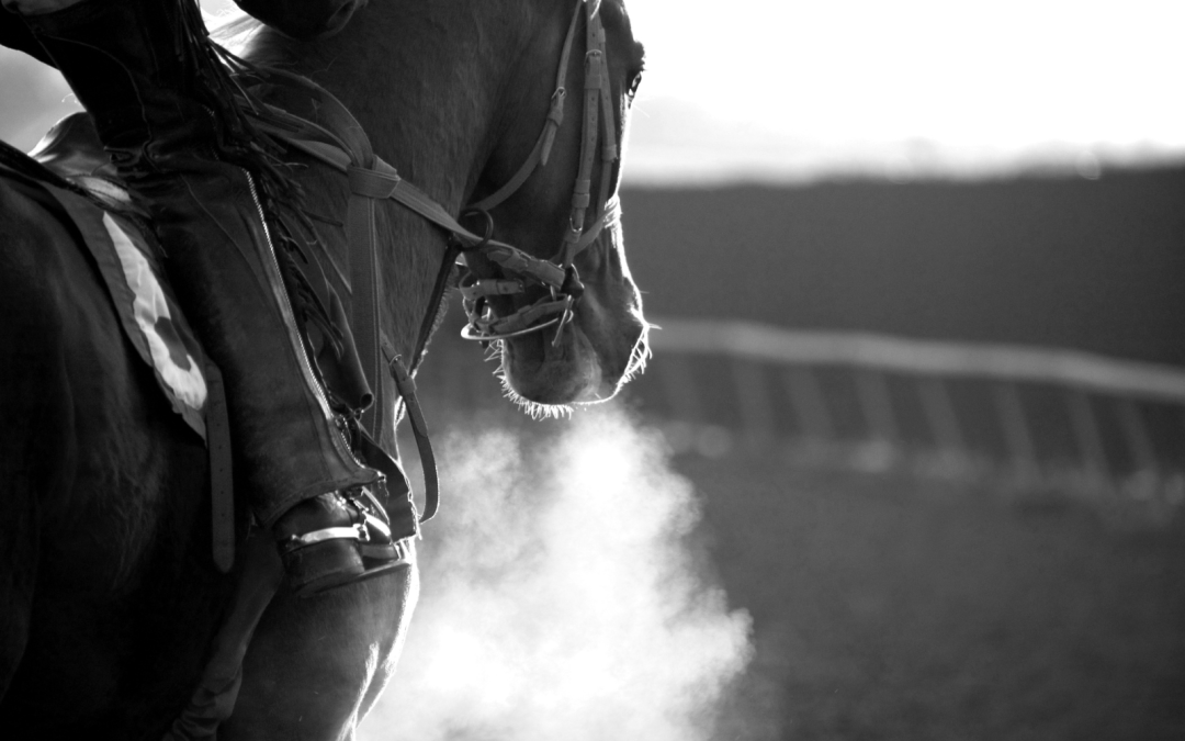 The $22.6M Lesson: Why Betting Your Business on a Long Shot Is a Losing Strategy